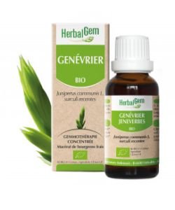 Genévrier (Juniperus communis) j.p. BIO, 15 ml